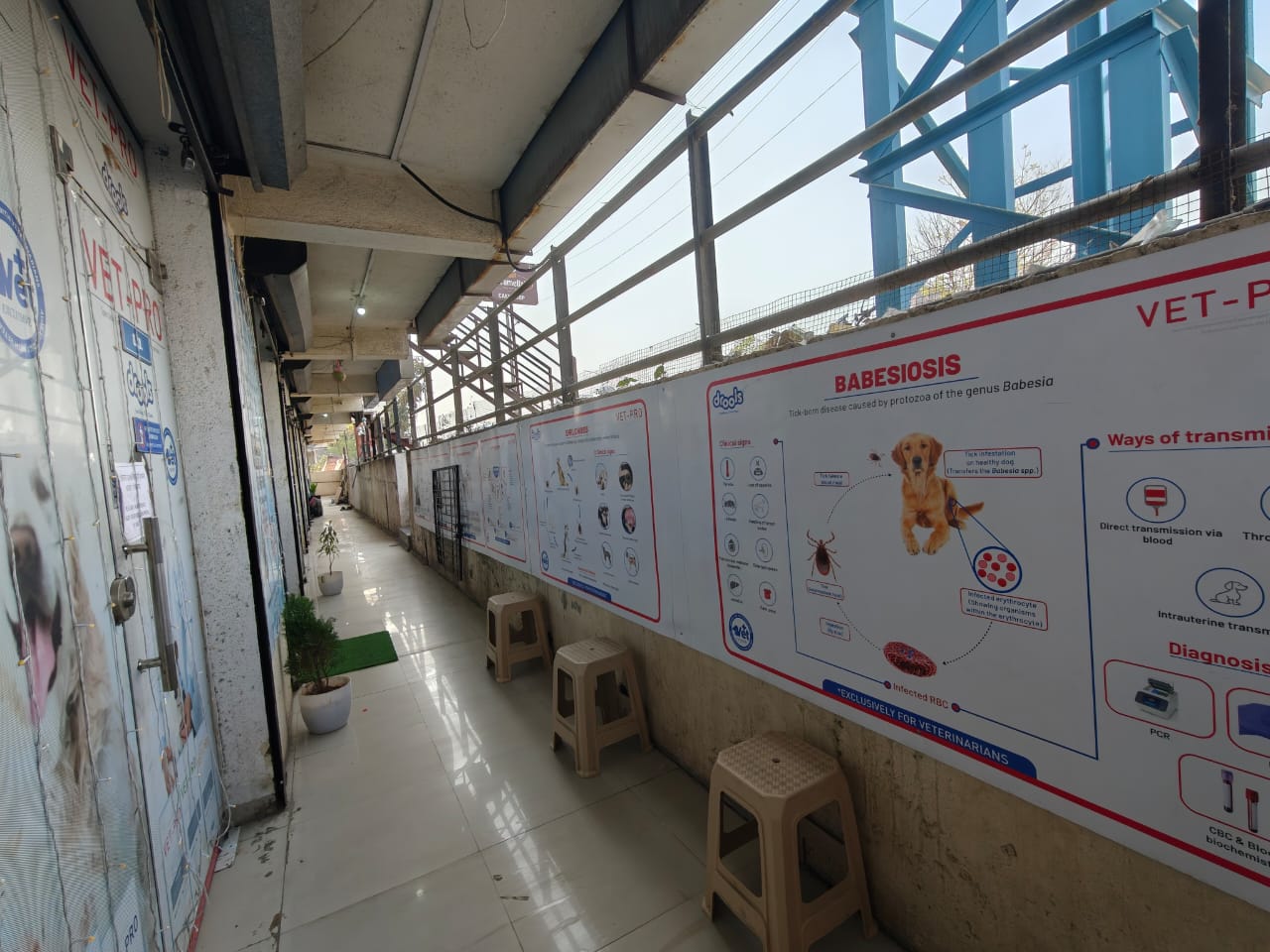 Sarvadnya Pet Care Unit veterinary clinic, Pune